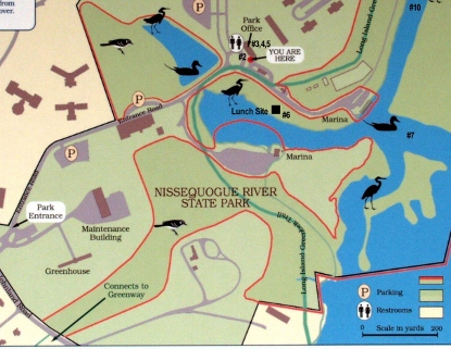 Nissequogue River Tide Chart